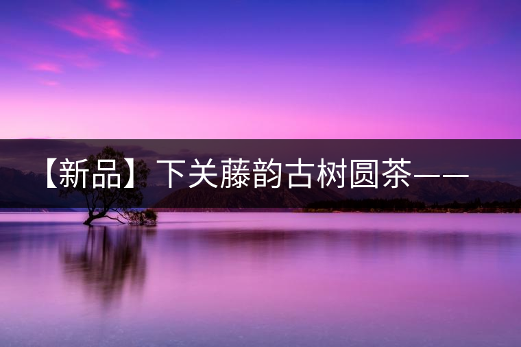 【新品】下關(guān)藤韻古樹(shù)圓茶——“千手觀音”臨世之風(fēng)骨