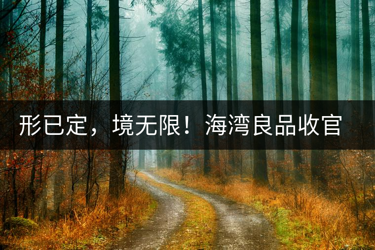 形已定，境無限！海灣良品收官季『良禪品』