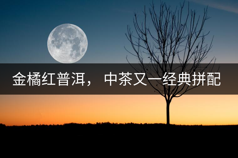 金橘紅普洱， 中茶又一經(jīng)典拼配力作，值得期待！