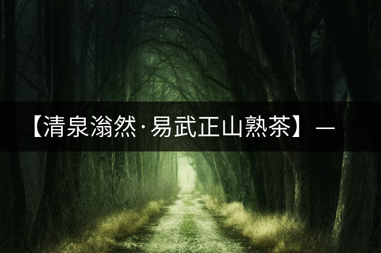 【清泉滃然·易武正山熟茶】——熨帖冬季的寒冷，來的正是時候！