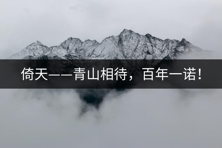 倚天——青山相待，百年一諾！