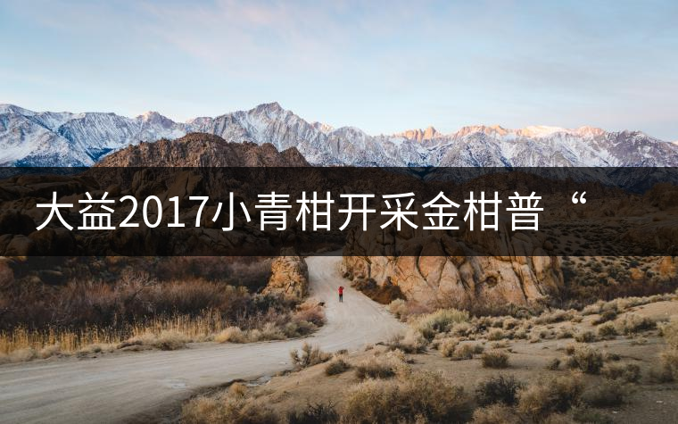 大益2017小青柑開(kāi)采金柑普“益桶江山”震撼上市 大益2017小青柑開(kāi)采金柑普“益桶江山”震撼上市