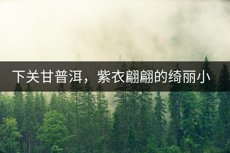 下關(guān)甘普洱，紫衣翩翩的綺麗小餅