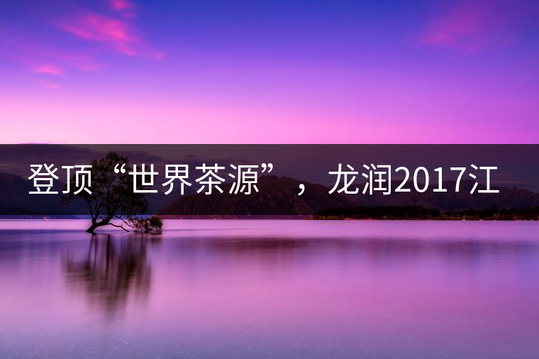 登頂“世界茶源”，龍潤2017江城茶上市啦！