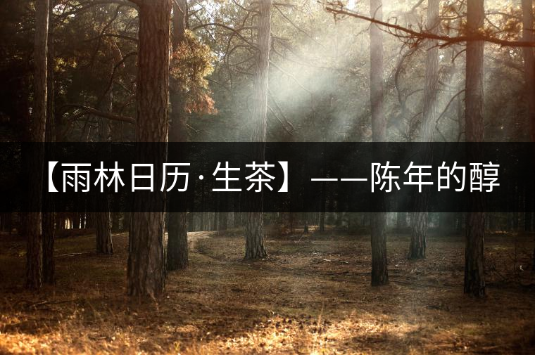 【雨林日歷·生茶】——陳年的醇，老料的香！