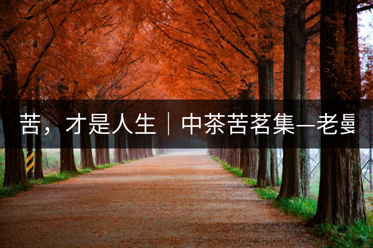 苦，才是人生｜中茶苦茗集—老曼峨普洱茶（生茶）