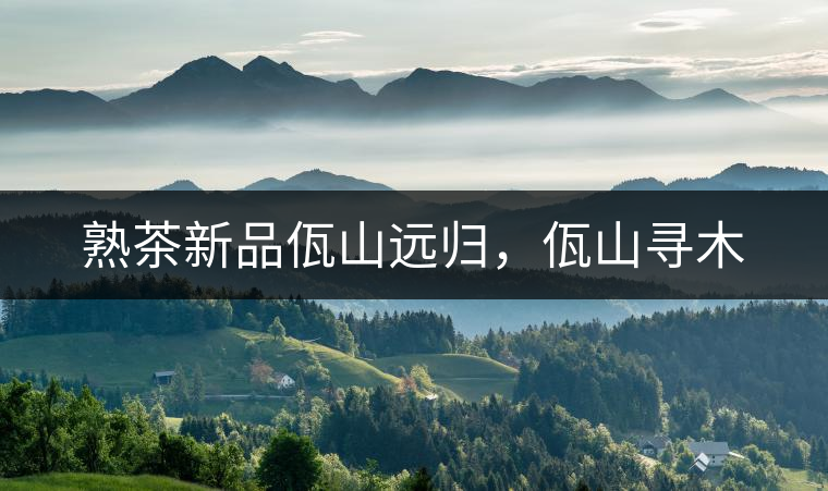 熟茶新品佤山遠(yuǎn)歸，佤山尋木