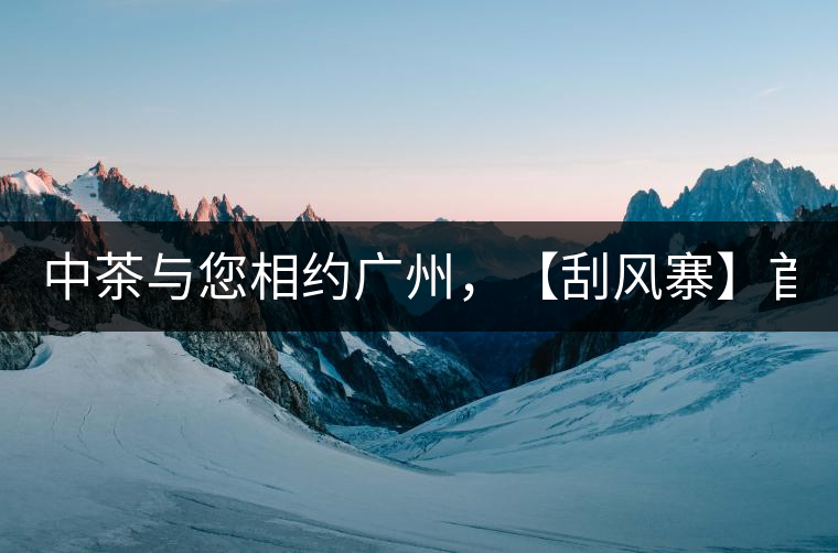 中茶與您相約廣州，【刮風寨】首次亮相！