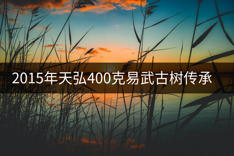 2015年天弘400克易武古樹傳承熟茶上市