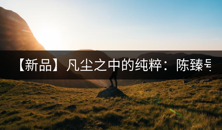 【新品】凡塵之中的純粹：陳臻號(hào)2016年精品青餅即將上市！