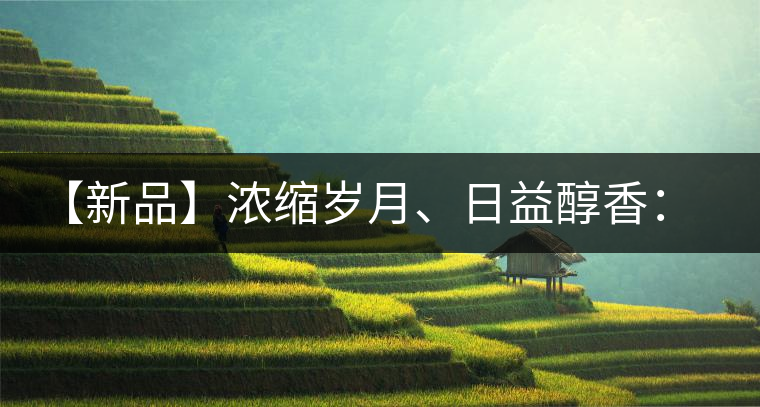 【新品】濃縮歲月、日益醇香：陳臻號(hào)陳品熟餅即將上市！