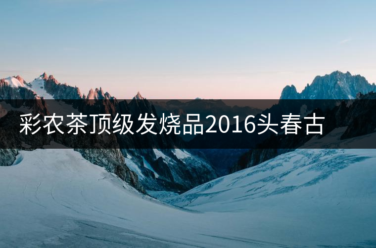 彩農(nóng)茶頂級(jí)發(fā)燒品2016頭春古樹(shù)純料青餅——云南巖茶·巖魂 彩農(nóng)茶頂級(jí)發(fā)燒品2016頭春古樹(shù)純料青餅——云南巖茶·巖魂