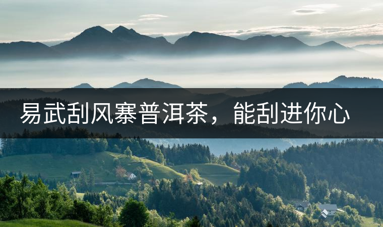 易武刮風(fēng)寨普洱茶，能刮進你心中的一道風(fēng)