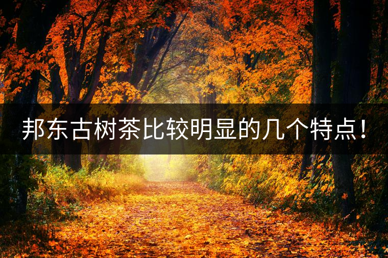 邦東古樹茶比較明顯的幾個特點！