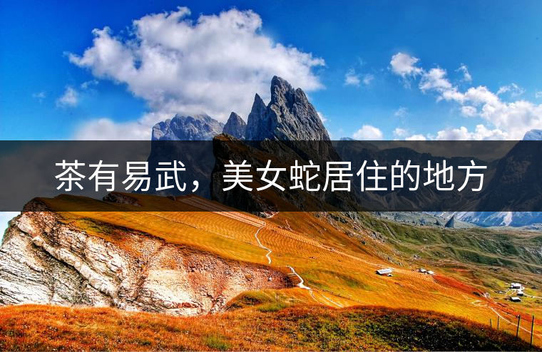 茶有易武，美女蛇居住的地方