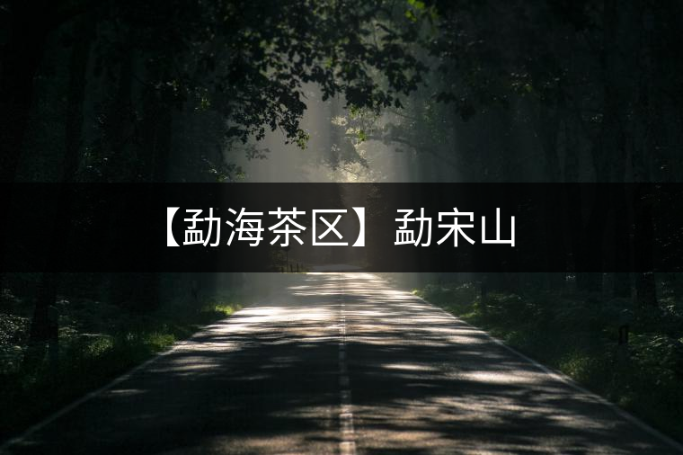 【勐海茶區(qū)】勐宋山 【勐海茶區(qū)】勐宋山