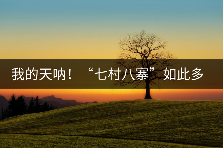 我的天吶！“七村八寨”如此多的易武茶，品質(zhì)特色如何分辨？