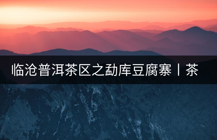 臨滄普洱茶區(qū)之勐庫豆腐寨丨茶山