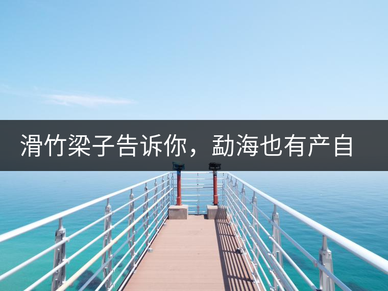 滑竹梁子告訴你，勐海也有產(chǎn)自國有林里的好茶！