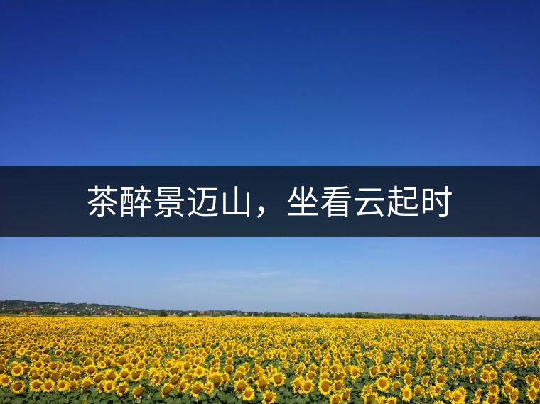 茶醉景邁山，坐看云起時
