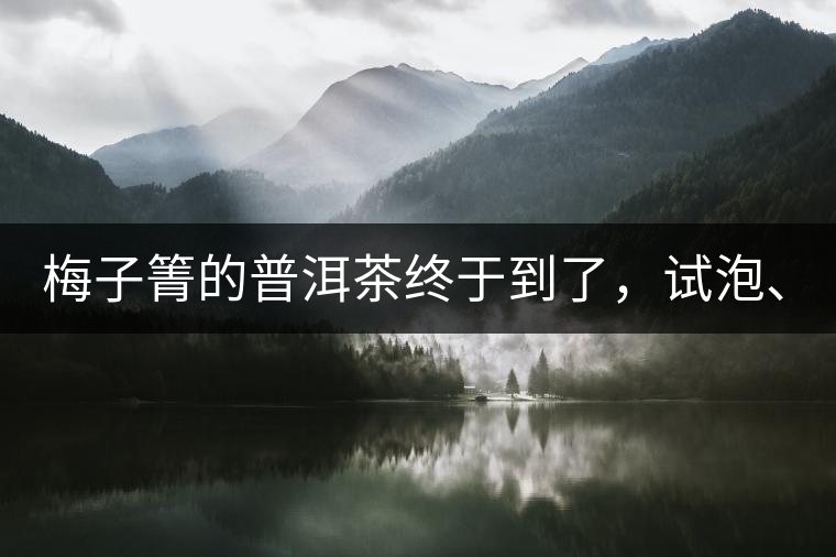 梅子箐的普洱茶終于到了，試泡、、、