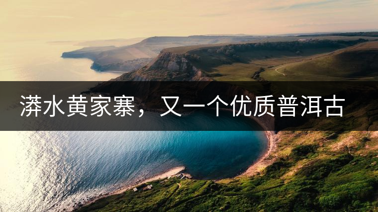 漭水黃家寨，又一個(gè)優(yōu)質(zhì)普洱古樹(shù)群落