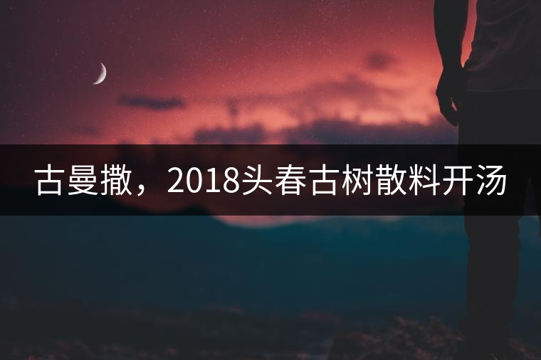 古曼撒，2018頭春古樹散料開湯