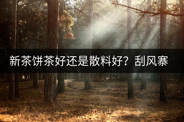 新茶餅茶好還是散料好？刮風(fēng)寨開湯評(píng)測(cè)