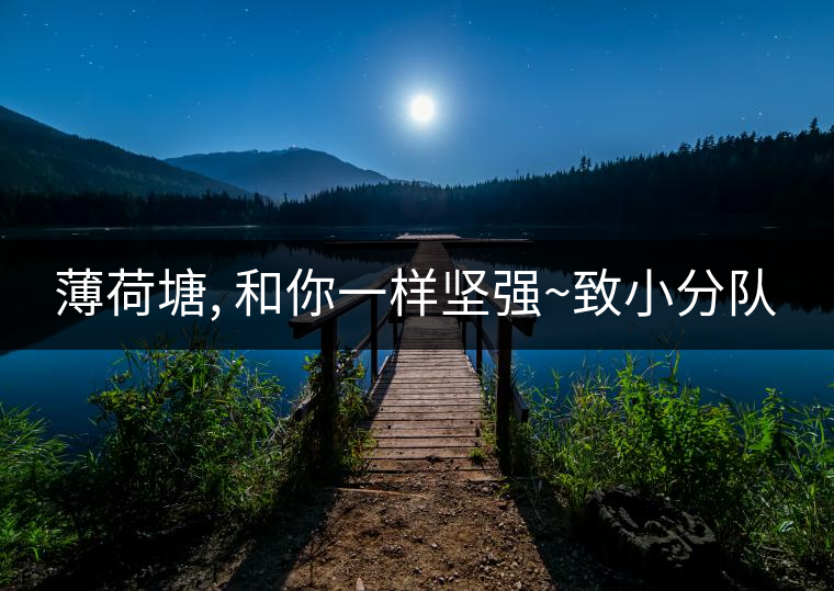 薄荷塘, 和你一樣堅強~致小分隊 薄荷塘, 和你一樣堅強~致小分隊