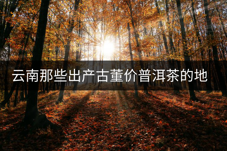 云南那些出產(chǎn)古董價(jià)普洱茶的地方，風(fēng)景如畫！