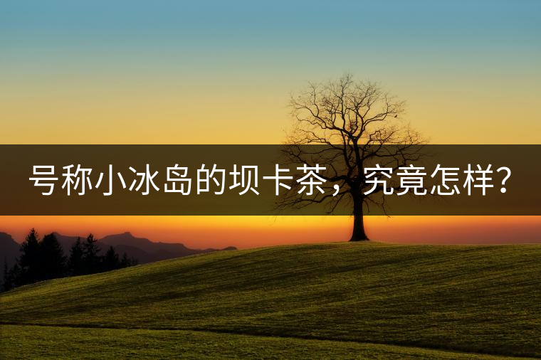 號(hào)稱小冰島的壩卡茶，究竟怎樣？