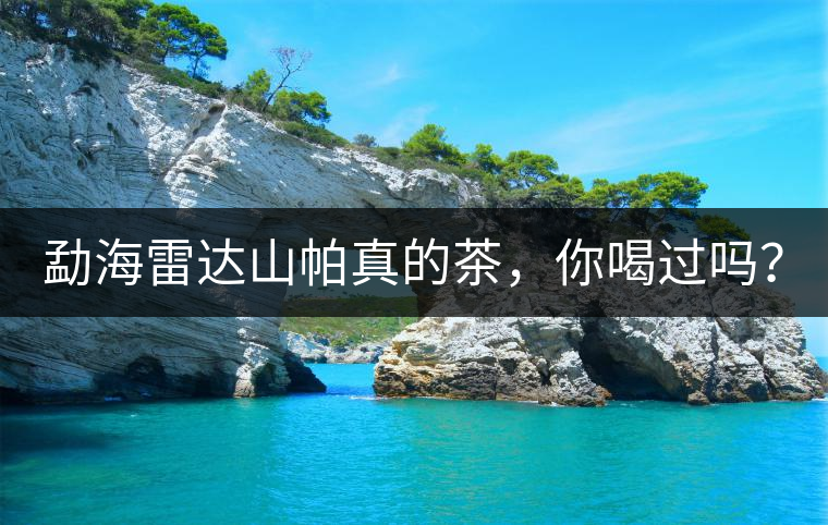 勐海雷達(dá)山帕真的茶，你喝過嗎？