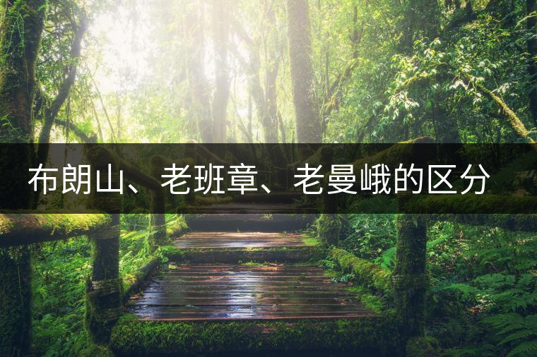 布朗山、老班章、老曼峨的區(qū)分和鑒別