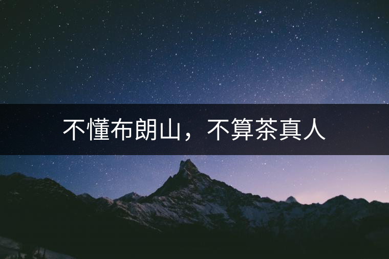不懂布朗山，不算茶真人