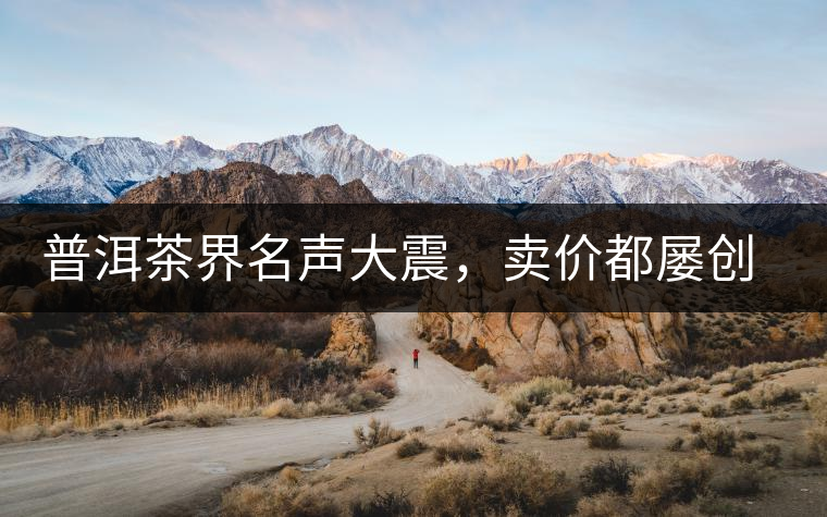 普洱茶界名聲大震，賣價都屢創(chuàng)新高竟然是它