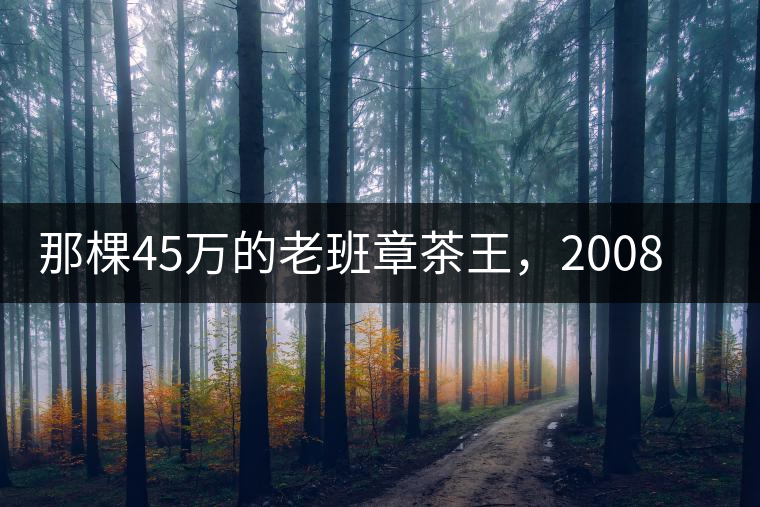 那棵45萬的老班章茶王，2008年是什么樣子的？