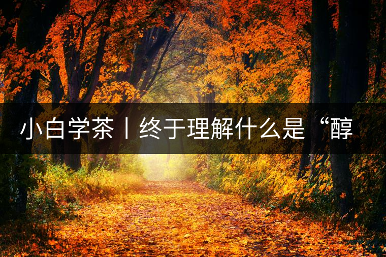 小白學茶丨終于理解什么是“醇厚、耐泡，回甘”了