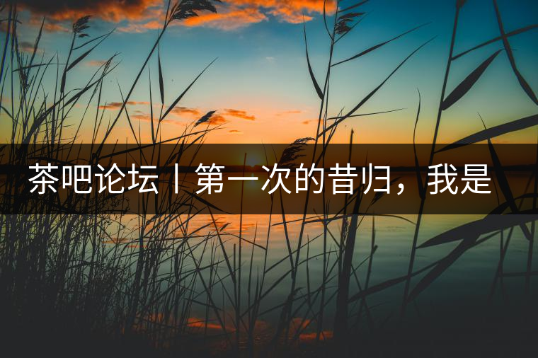 茶吧論壇丨第一次的昔歸，我是這樣喝到的