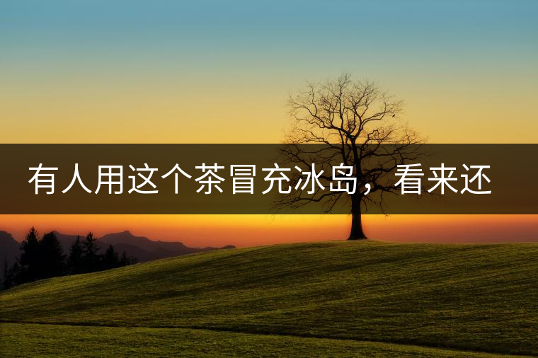 有人用這個(gè)茶冒充冰島，看來(lái)還是有幾分道理