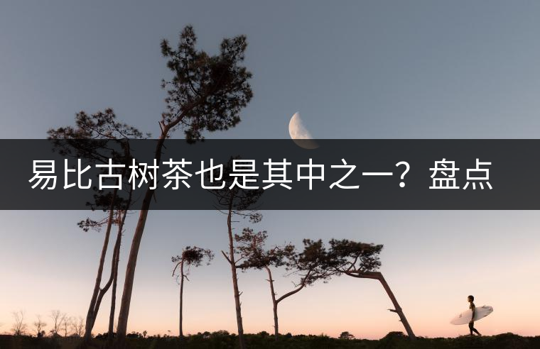 易比古樹(shù)茶也是其中之一？盤點(diǎn)當(dāng)下易武最火的十大古樹(shù)茶！