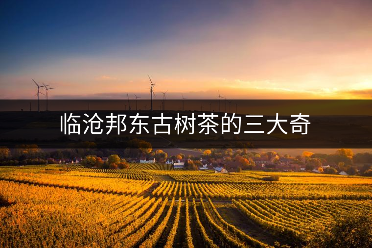 臨滄邦東古樹茶的三大奇 臨滄邦東古樹茶的三大奇