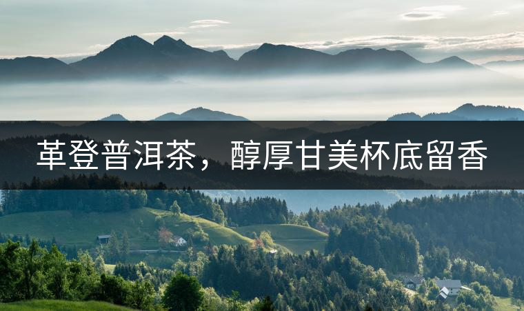 革登普洱茶，醇厚甘美杯底留香