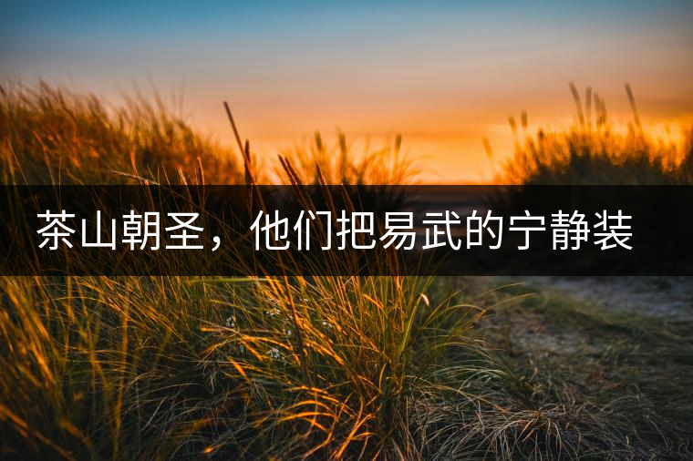 茶山朝圣，他們把易武的寧靜裝進心里，卻把成堆垃圾留在