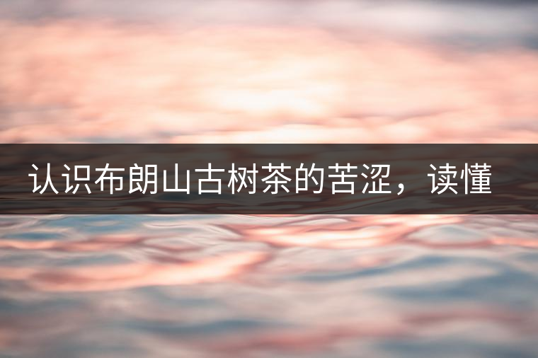 認(rèn)識(shí)布朗山古樹(shù)茶的苦澀，讀懂勐海普洱茶