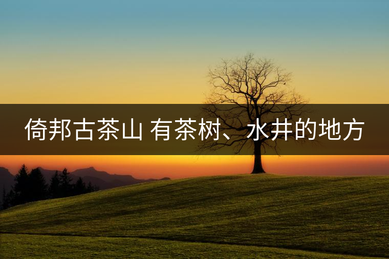 倚邦古茶山 有茶樹、水井的地方