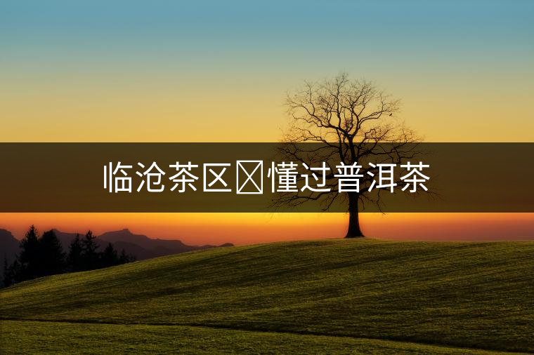 臨滄茶區(qū)?懂過普洱茶 臨滄茶區(qū)?懂過普洱茶