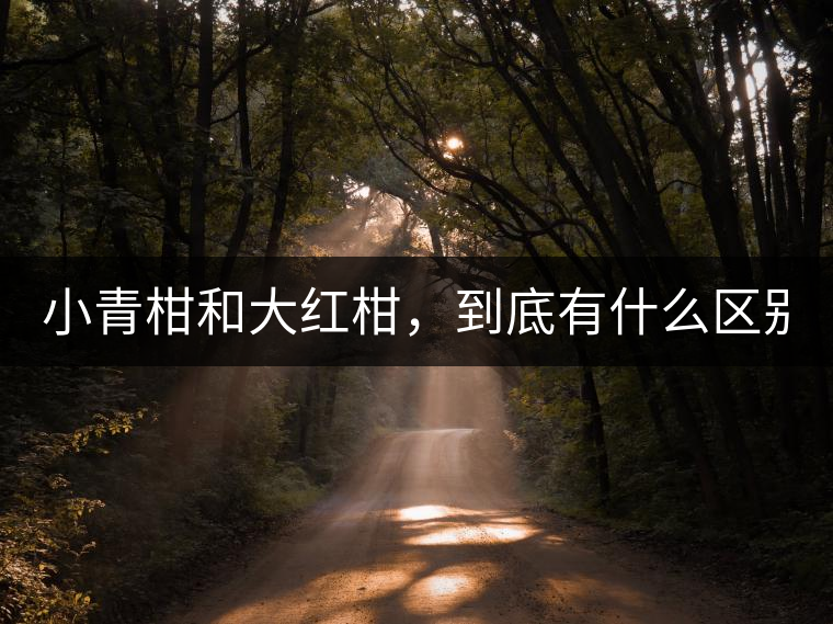 小青柑和大紅柑，到底有什么區(qū)別？