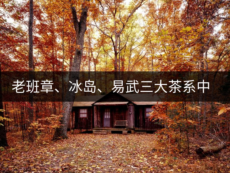 老班章、冰島、易武三大茶系中，“潛力股”為何是易武？