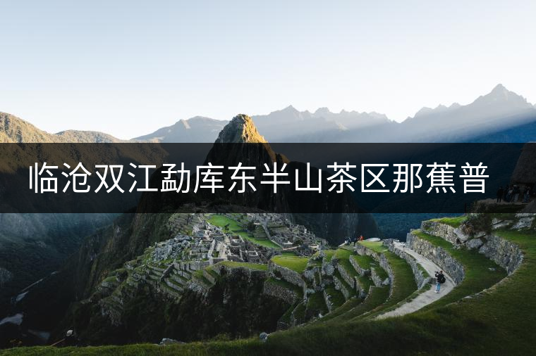 臨滄雙江勐庫(kù)東半山茶區(qū)那蕉普洱茶