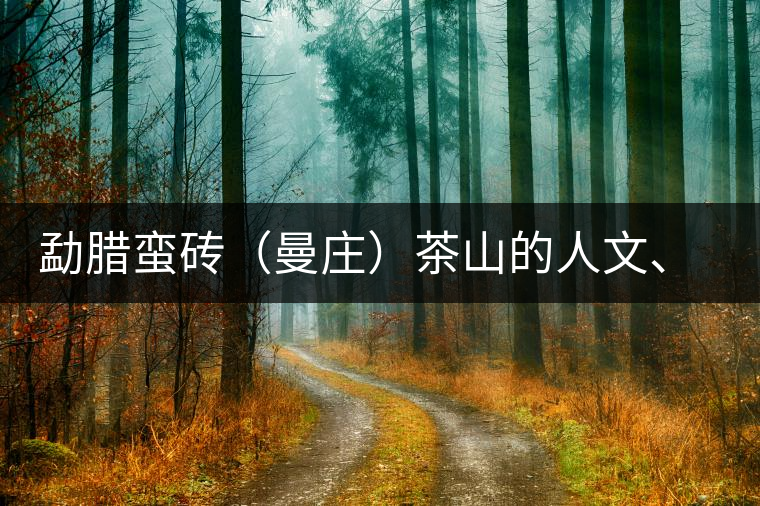 勐臘蠻磚（曼莊）茶山的人文、生態(tài)